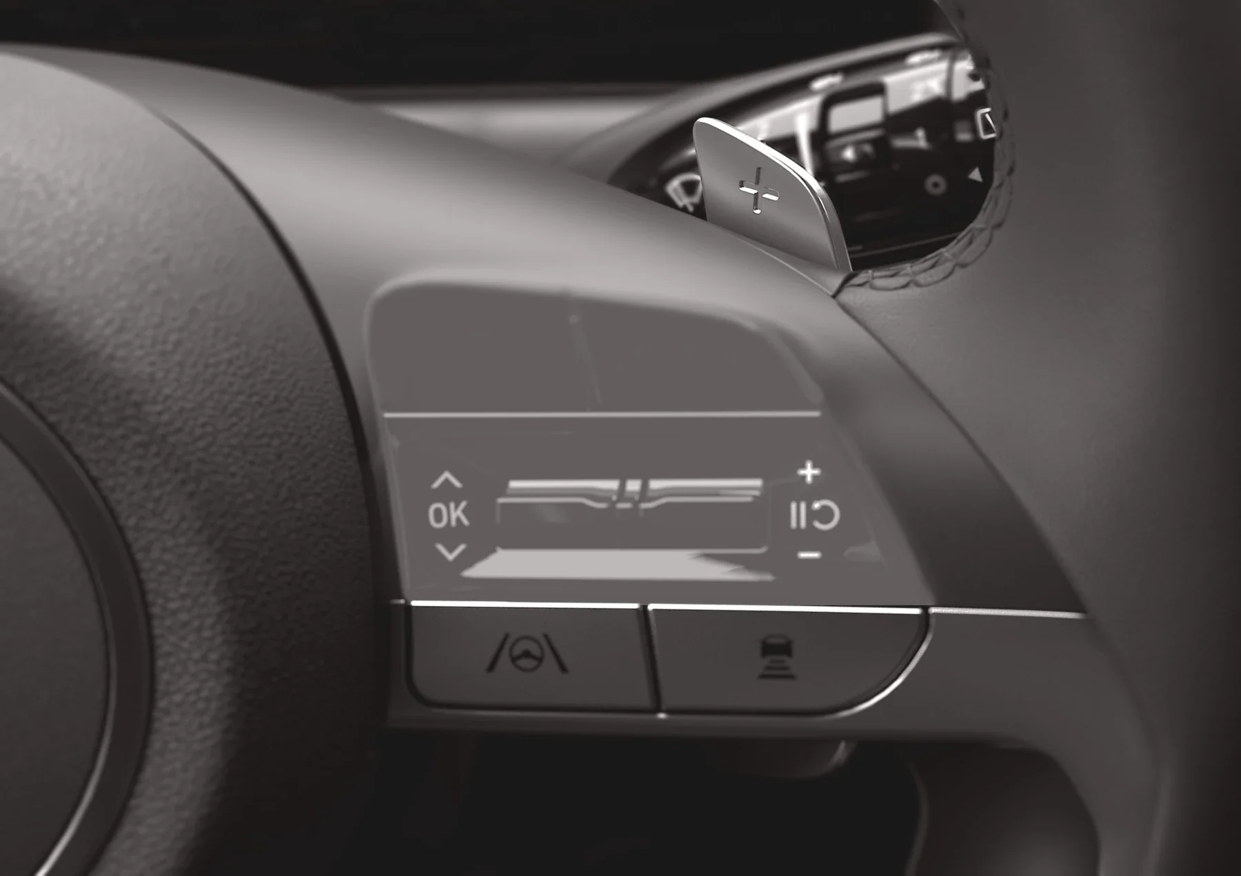 Rattpaddlarna i Hyundai TUCSON Hybrid